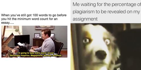12 memes you'll relate to if you're an English student