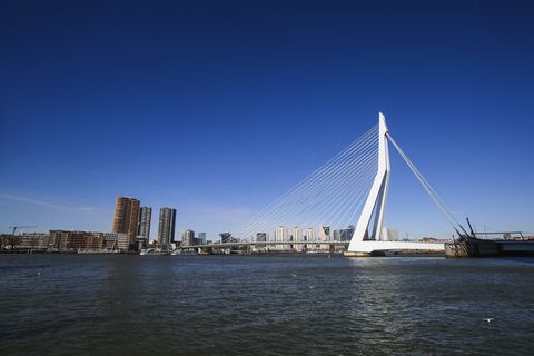 erasmus bridge in rotterdam