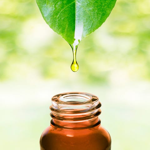 Essential oil dropping from leaf .Aromatherapy.
