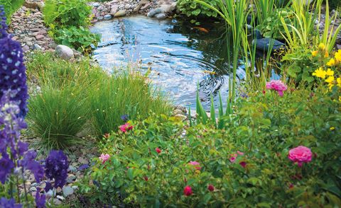 estanque en el jardín