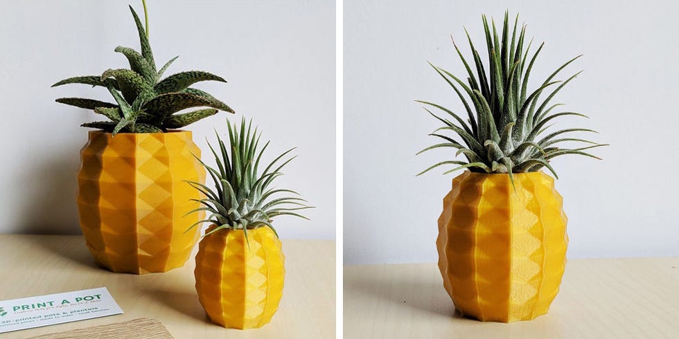 This Adorable Pineapple Holder Comes With an Air Plant to Look Like the Real Thing