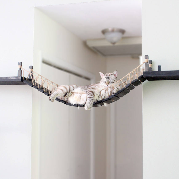 The Indiana Jones Cat Bridge