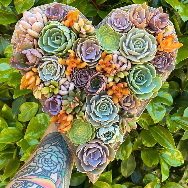 etsy succulent filled heart planter