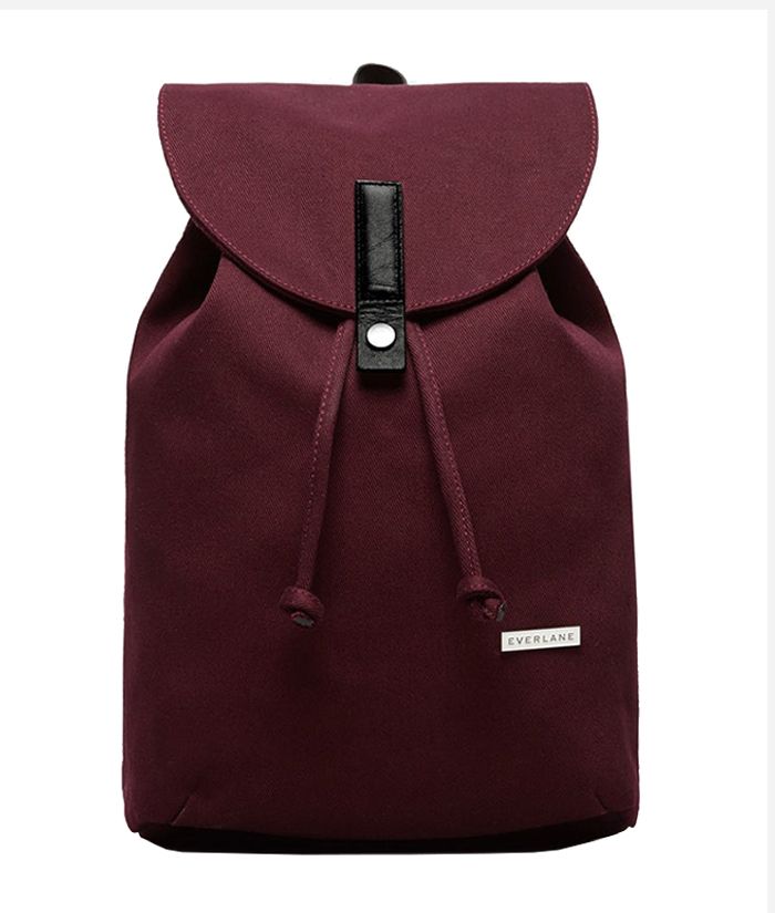 everlane beach canvas backpack