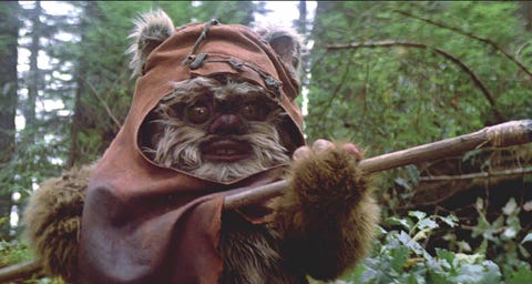 ewok star wars