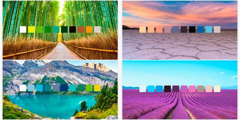 Expedia - colour palettes across the world