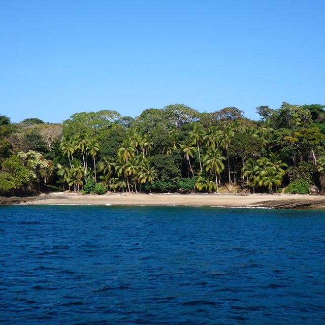 Expeditie Robinson Expeditie Robinson