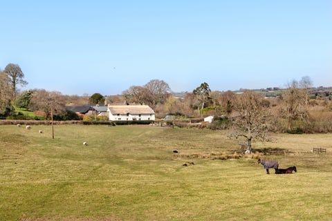 Charming Farmhouse For Sale In Dartmoor