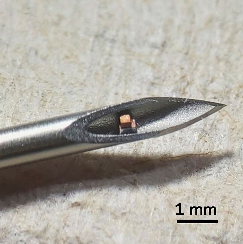 Yes, Scientists Built the World's Smallest Implantable Chip. But Don't Freak Out.