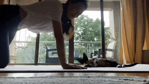 舒淇與愛貓練「居家瑜珈」30秒keep住少女體態！自創「舒式懶人減肥法」46歲好身材成親身實踐者