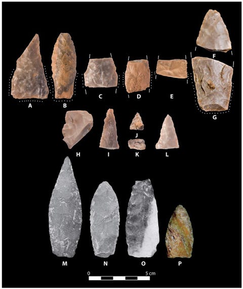 pre clovis spearheads