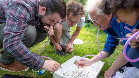 amsterdam vondelpark expeditie nieuwe diersoort ontdekt kever beatles insecten