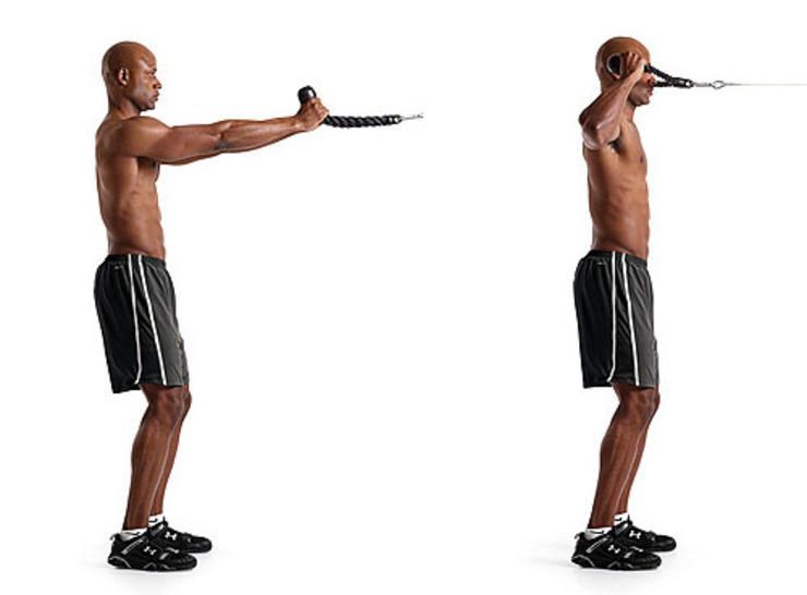 cable face pulls cable face pulls
