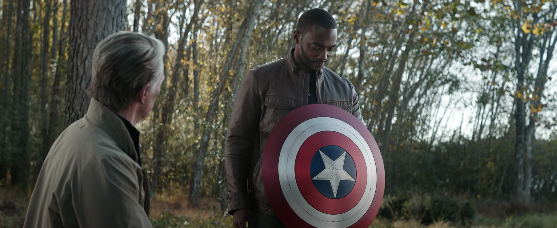 Avengers theory suggests Falcon has already been Captain America