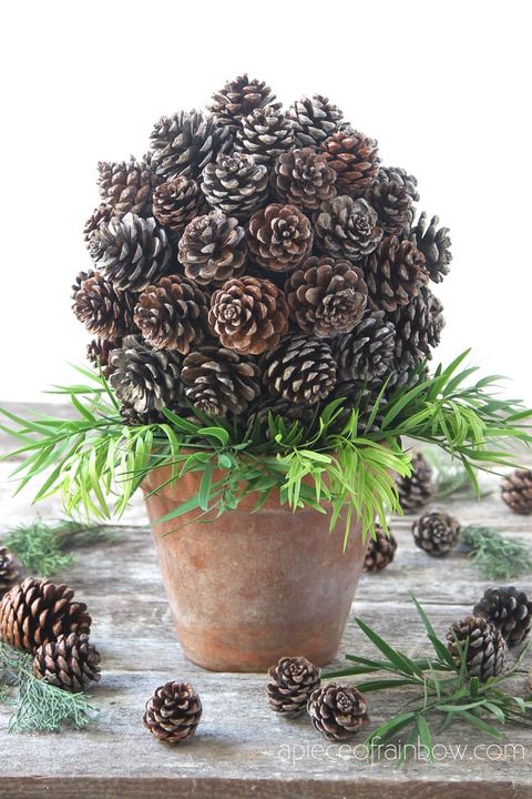 pinecone topiary