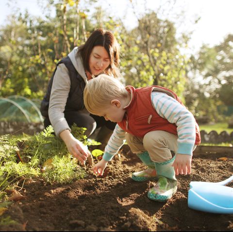 fall activities for families - gardening
