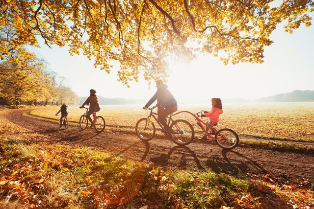 62 Best Fall Activities For Families Near Me Things To Do In The Fall