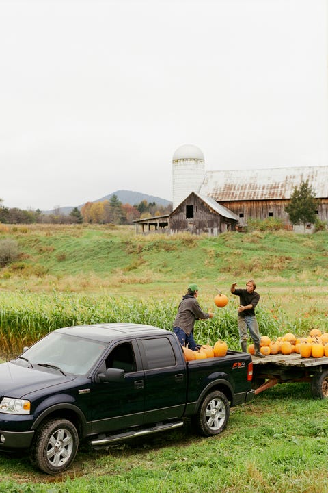 fall bucket list pumpkin farm