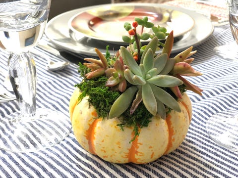 fall centerpieces succulents