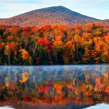 fall-foliage-map