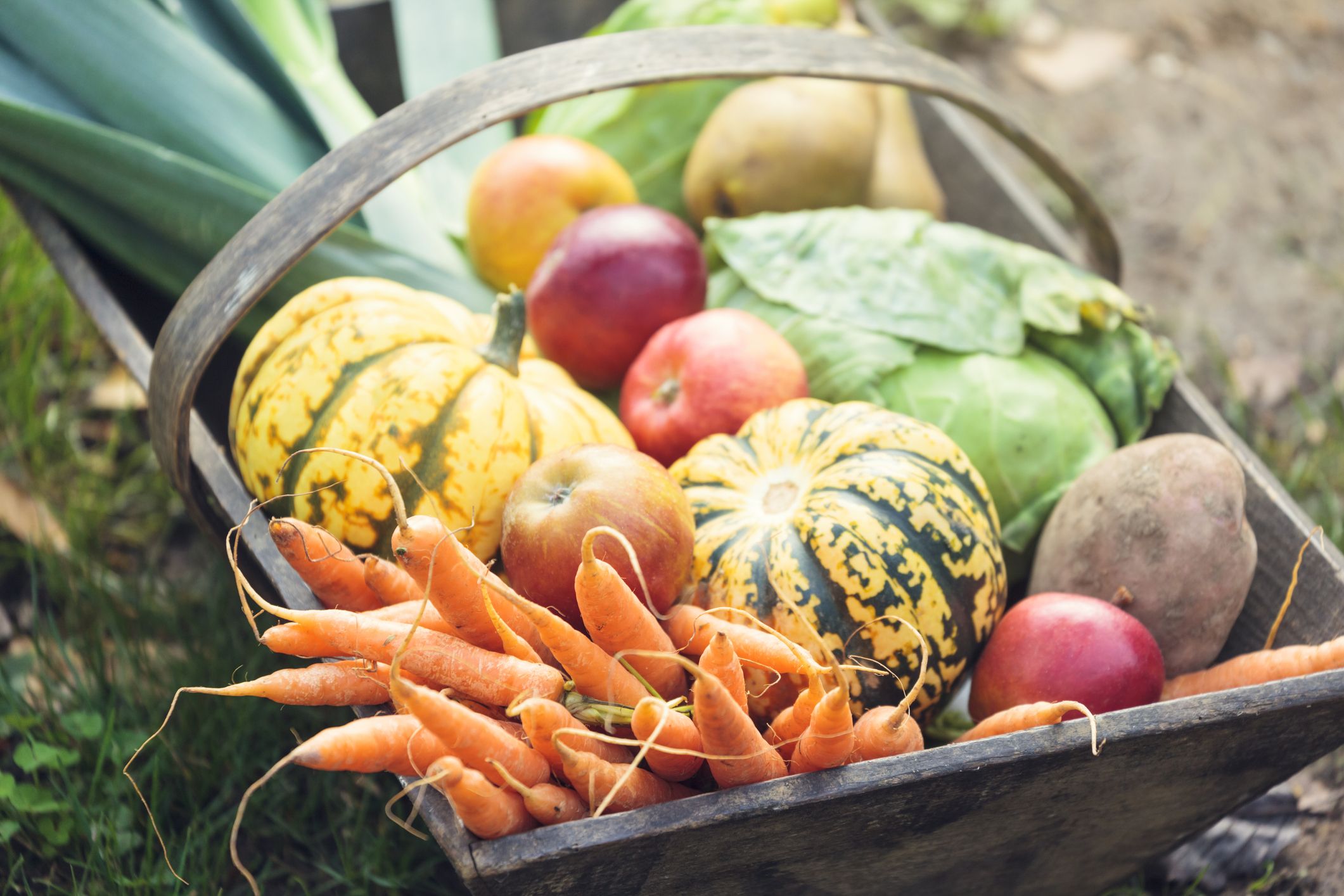 15 Best Fall Fruits and Vegetables - What to Know About Autumn Produce