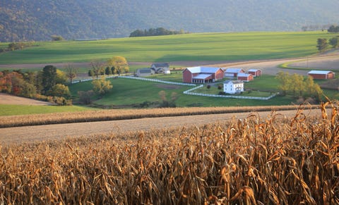 Fall landscape of farm scene in the evening