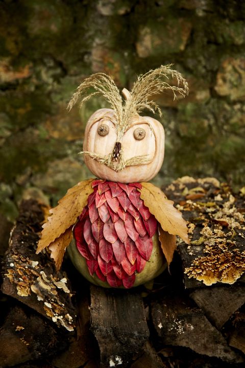 owl crafted from two stacked pumpkins, with red fall leaves covering its breast and tan leaves for wings