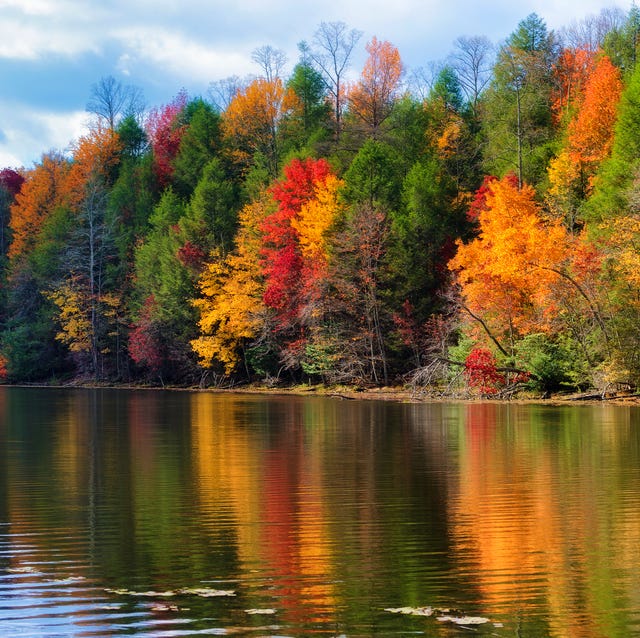 32 Beautiful Fall Pictures - Best Photos of Fall Foliage