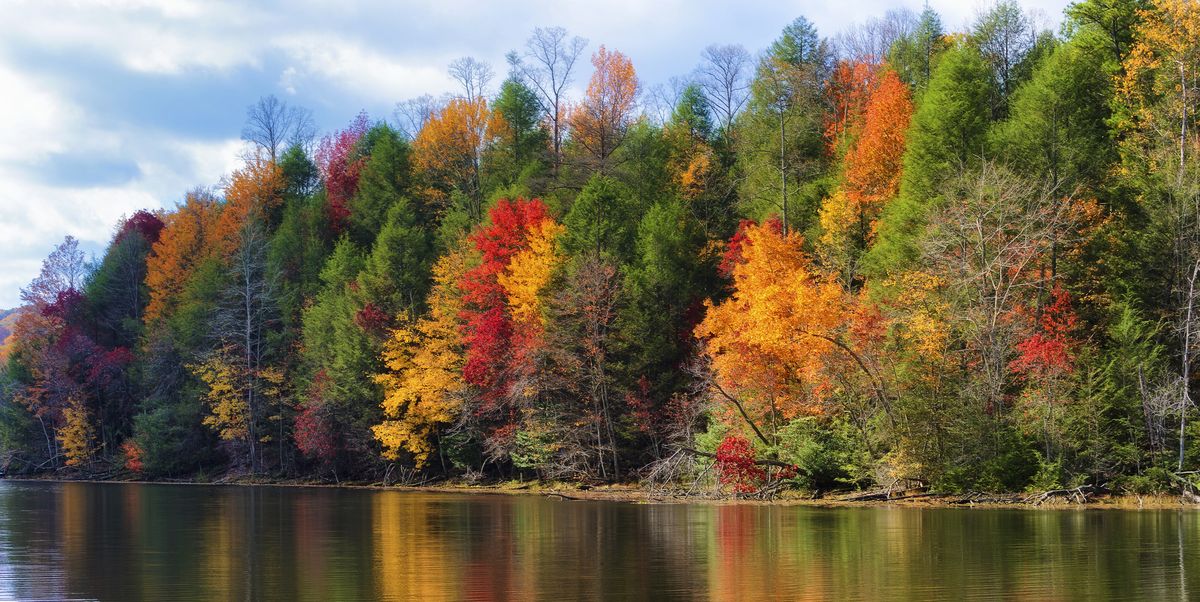32 Beautiful Fall Pictures - Best Photos of Fall Foliage