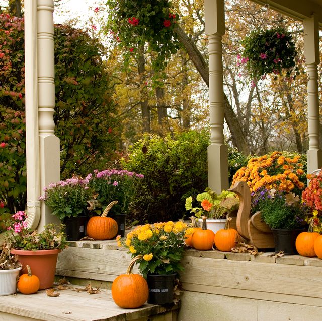 20 Best Fall Porch Ideas - Modern Autumn Front Porch Decor
