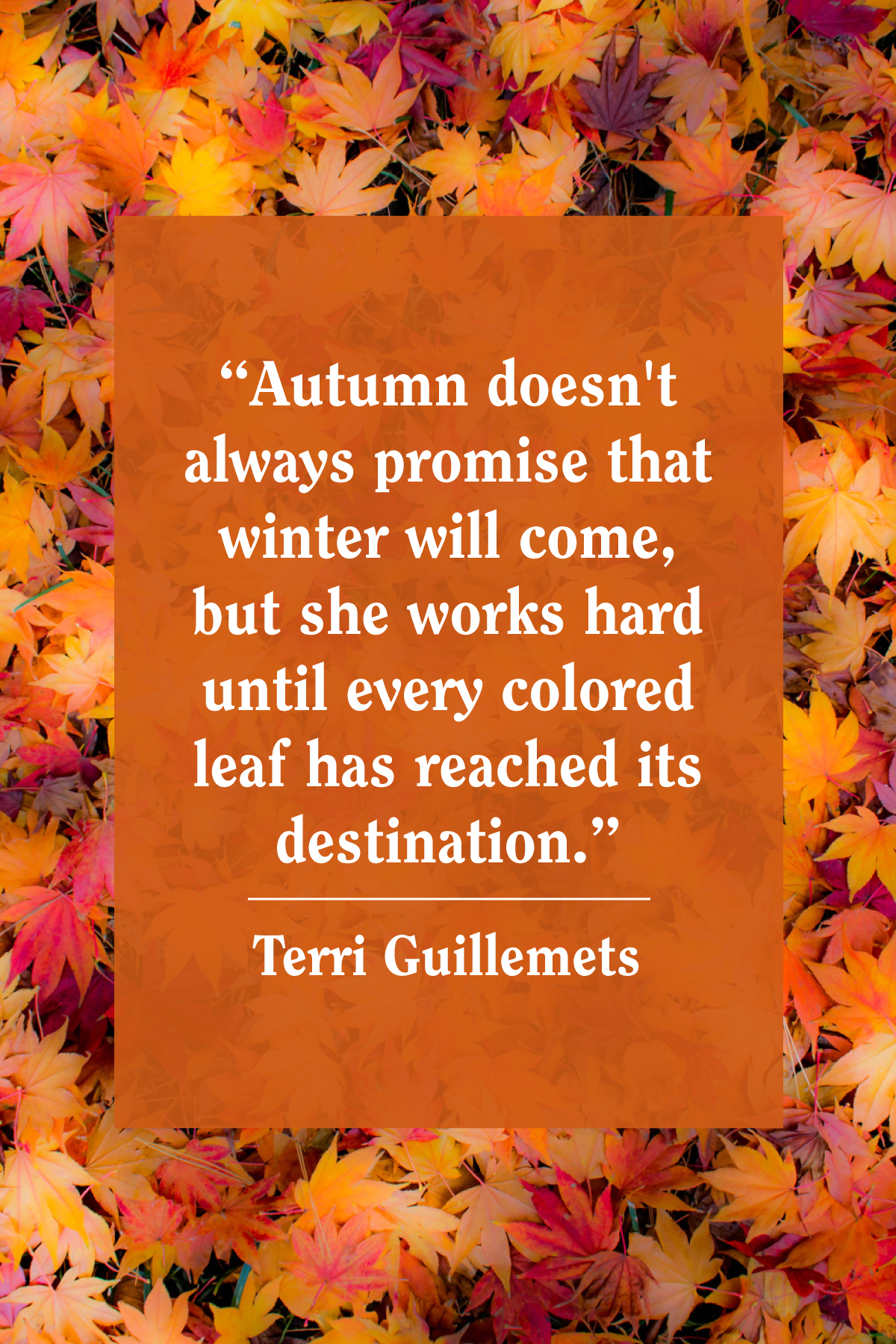 96 best ideas for coloring | Printable Autumn Quotes Inspirational