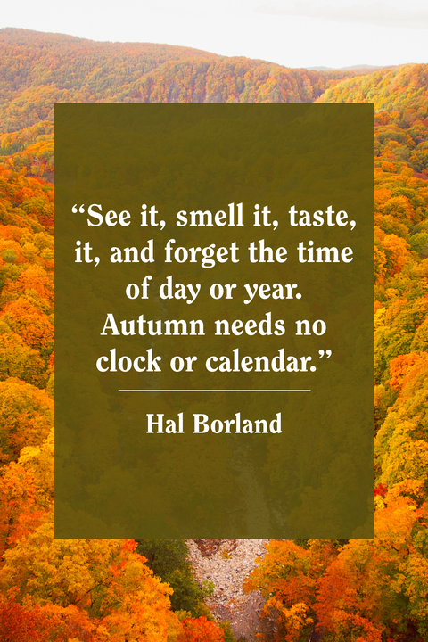 55 Best Fall Quotes Autumn - Top About Autumn