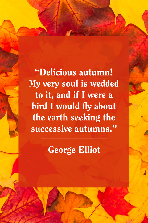 40 Best Fall Quotes 2019 - Autumn Quotes