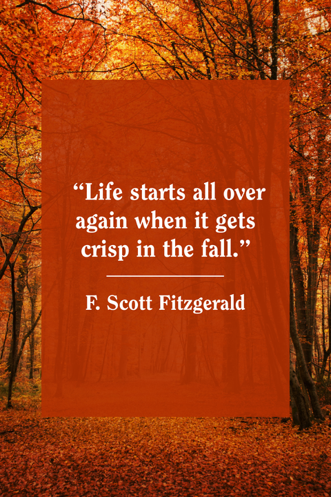 55 Best Fall Quotes 2020 - Inspirational Autumn Quotes for Instagram