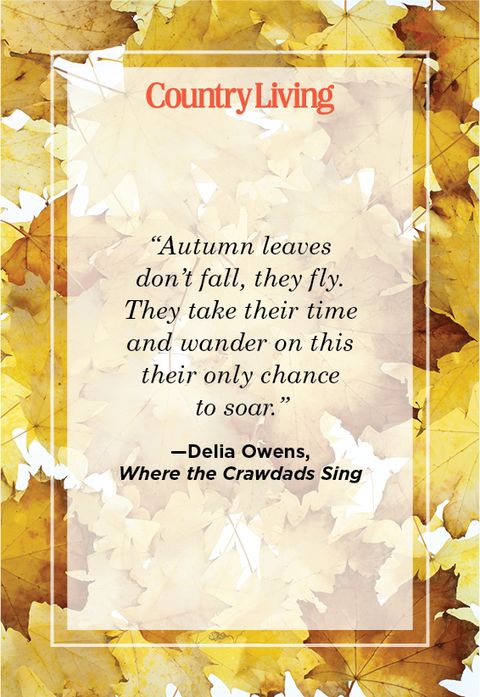 quote about fall from where the crawdads sing by delia owens
