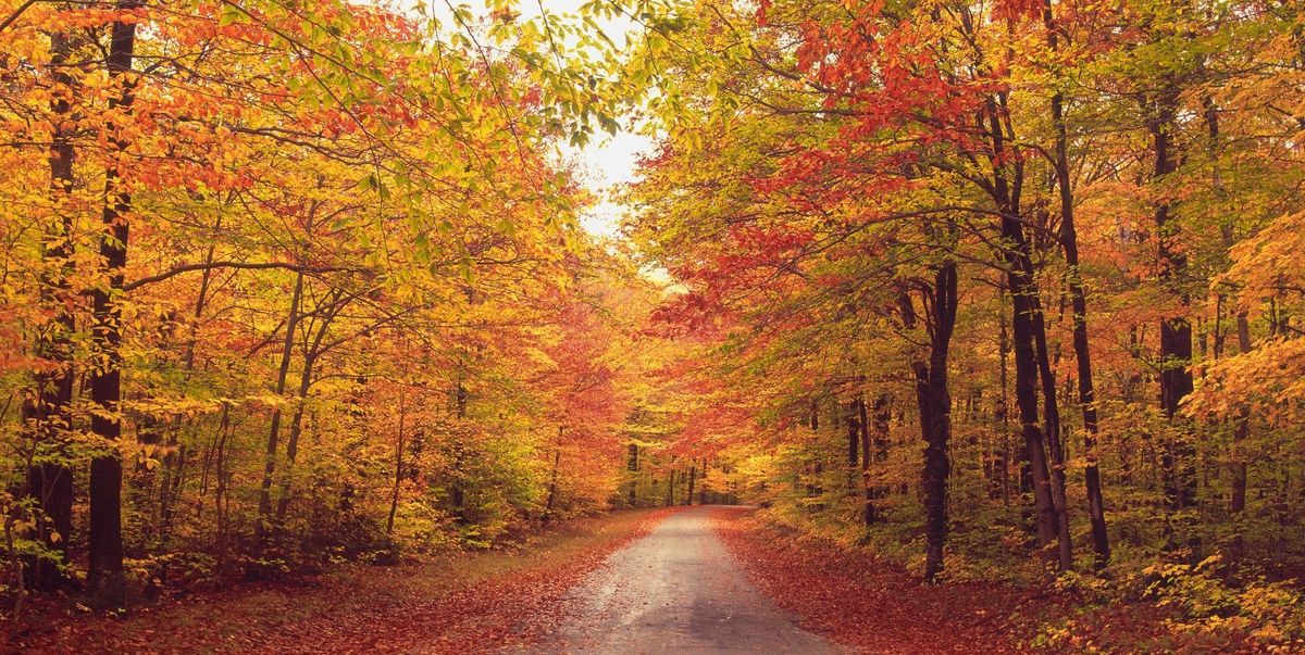 65 Best Fall Quotes That Capture the Beauty of the Season