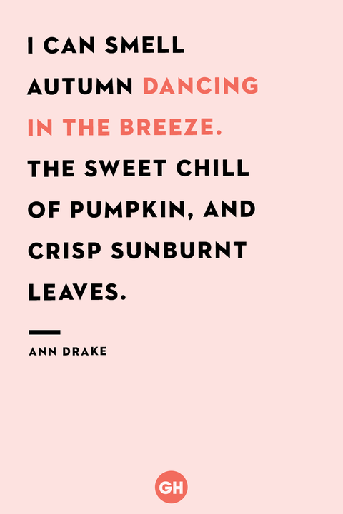 60 Cute Fall Quotes and Beautiful Sayings About Autumn 2022