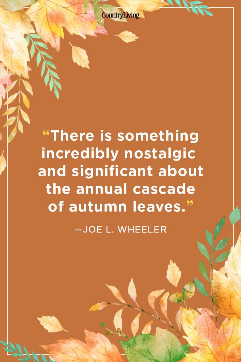 Short Fall Quotes And Sayings