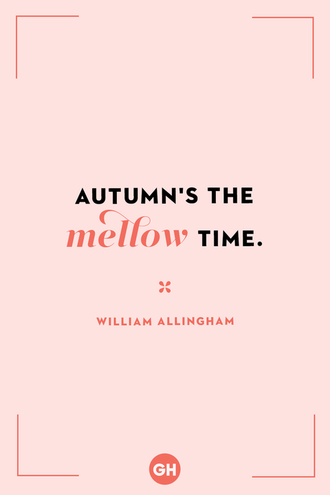 60 Cute Fall Quotes and Beautiful Sayings About Autumn 2022