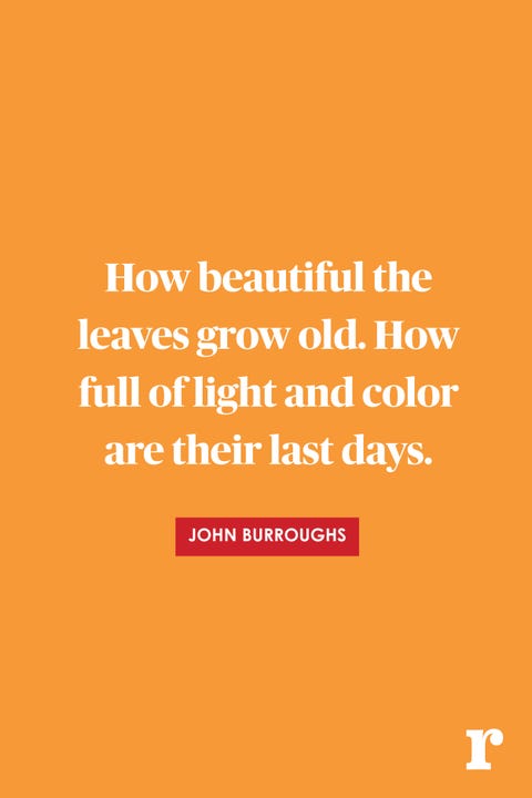 Fall Quotes Awesome 48 Fall Quotes Quotes About Fall Fall Quotes Awesome 48 Fall Quotes Quotes About Fall