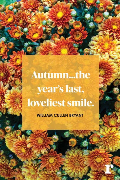 Fall Quotes Awesome 48 Fall Quotes Quotes About Fall Fall Quotes Awesome 48 Fall Quotes Quotes About Fall