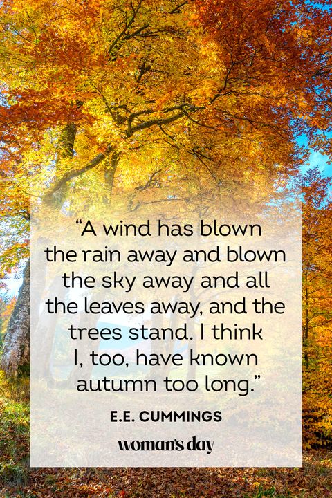 55 Best Fall Quotes for 2022 - Beautiful Sayings About Autumn