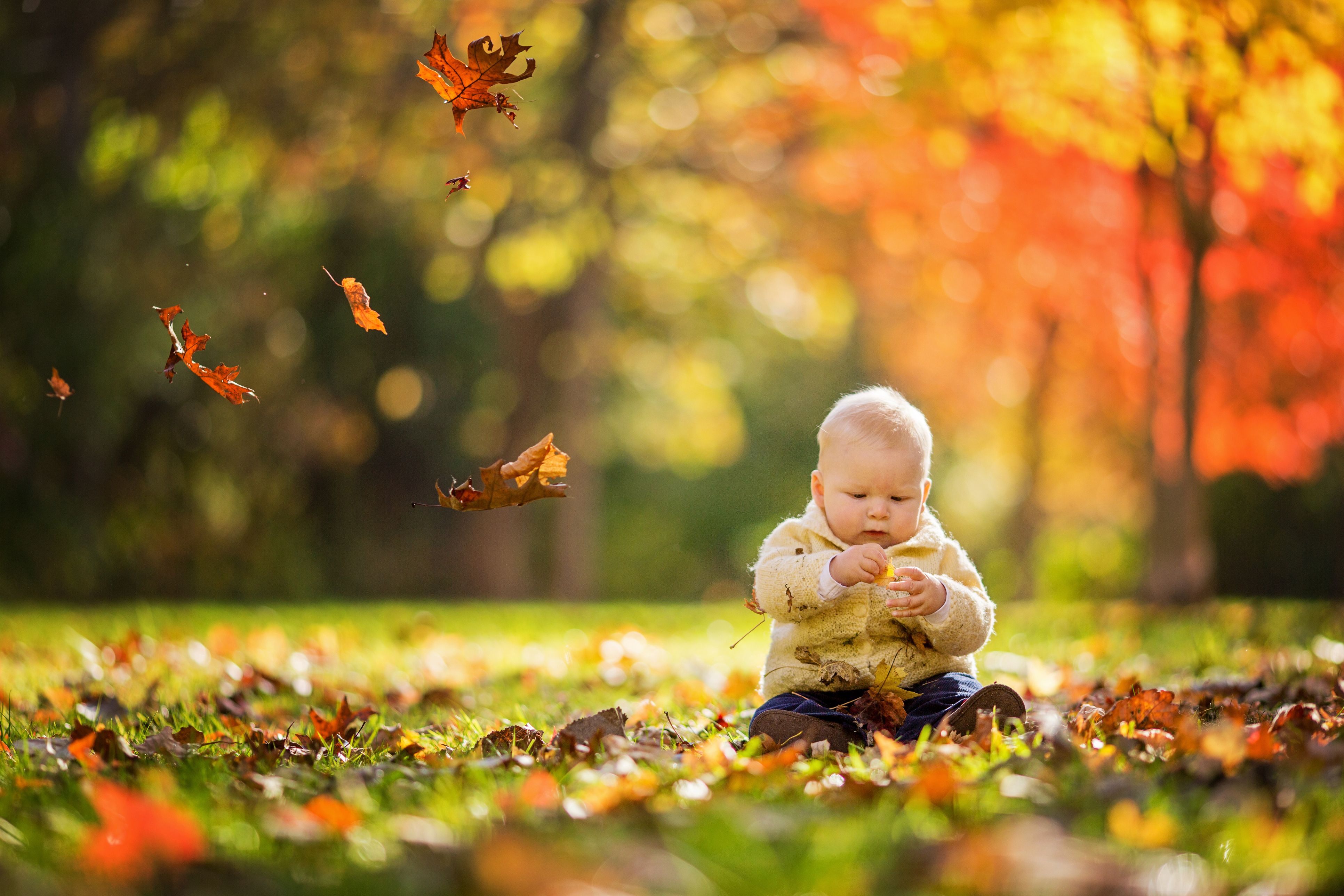 November Baby Facts Facts About November Babies