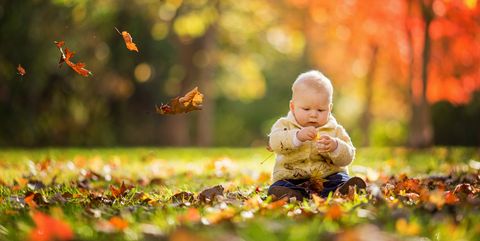 paritet areal Sund og rask November Baby Facts - Facts About November Babies