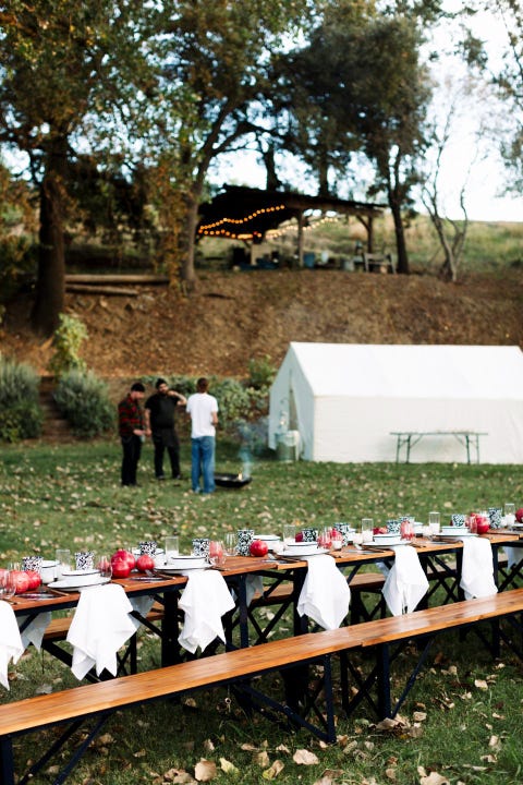 Community, Tree, Adaptation, Farm, Ceremony, 