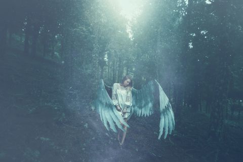 fallen angel in the forest