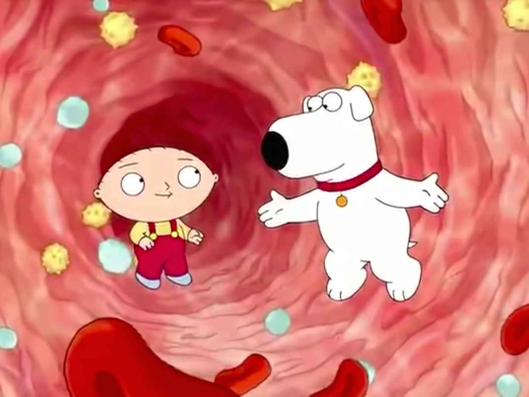 Así explican Brian y Stewie (Padre de Familia) la vacuna anticovid