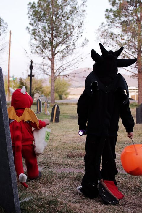 two boys a dressed as dragons for a how to train your dragon family costume