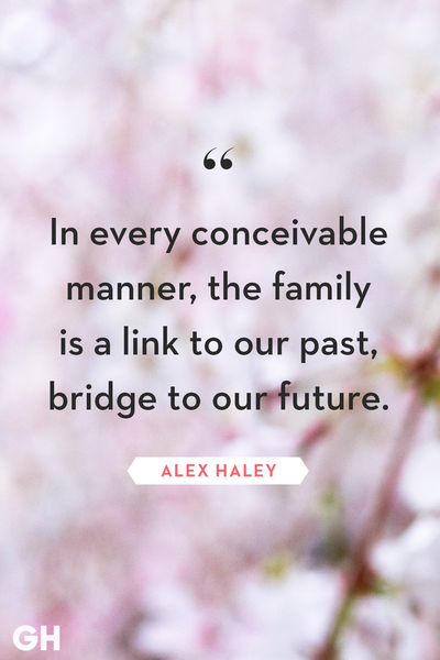 family quotes alex haley