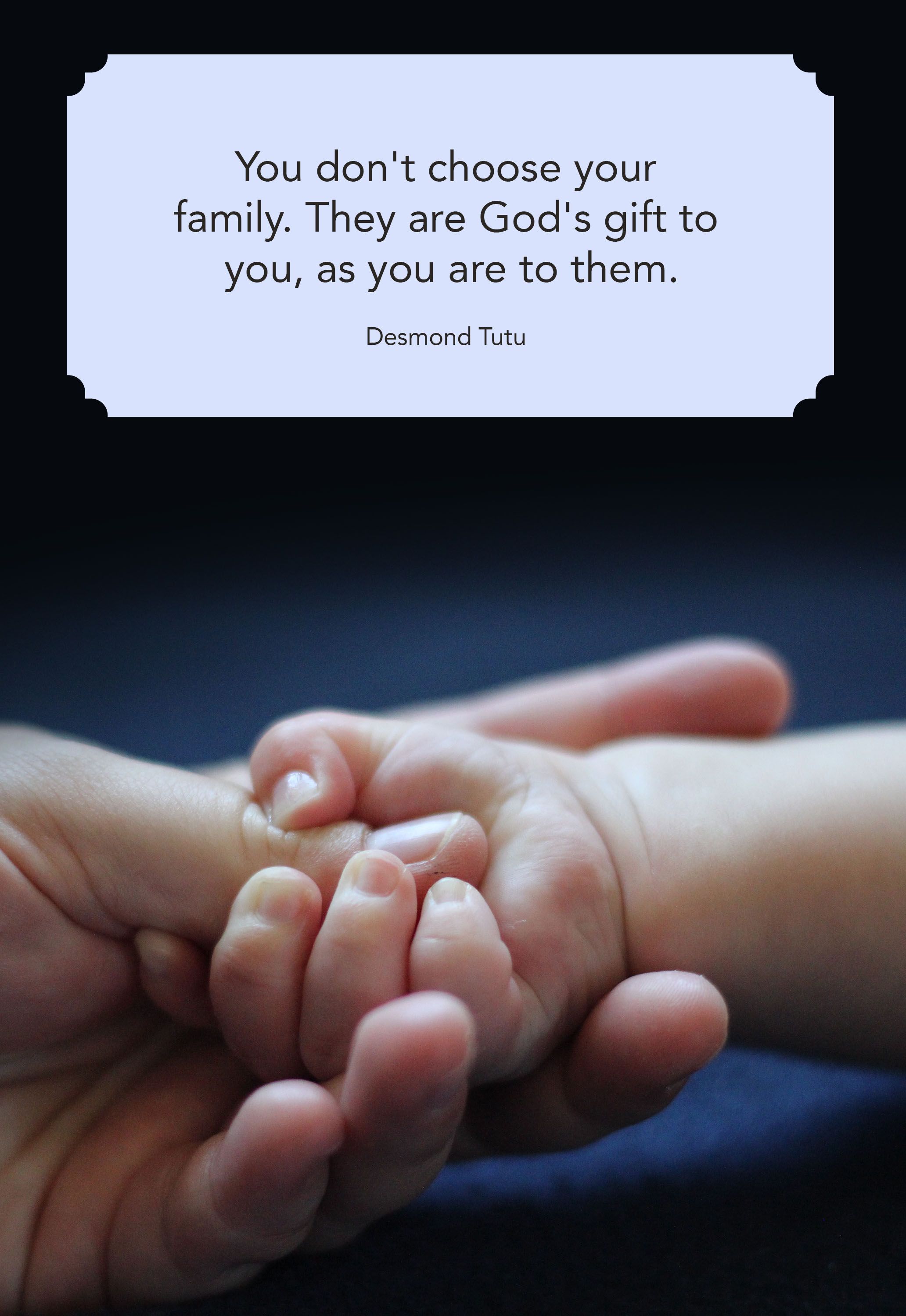 15 Short Family Love Quotes I Love My Family Quotes